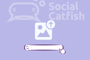 So finden Sie jemanden mit einem Bild auf Social Catfish – TechCult