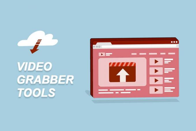 Die 30 besten Video-Grabber-Tools zum Herunterladen von Videos