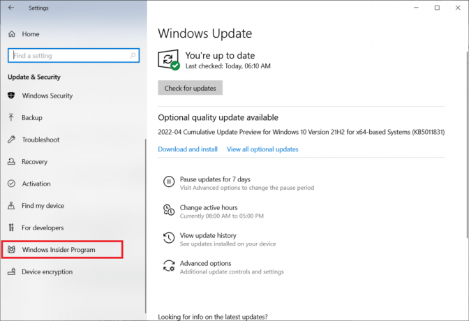 לחץ על תוכנית Windows Insider. תקן שגיאה של Microsoft Store 0x80246019