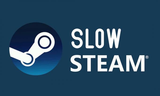 Fix Steam yra lėtas sistemoje Windows 10