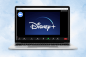Hur man delar Disney Plus på Zoom – TechCult