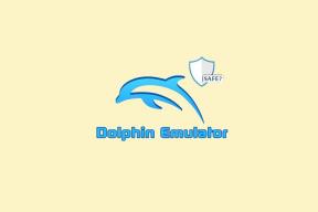 Чи безпечний емулятор Dolphin? – TechCult