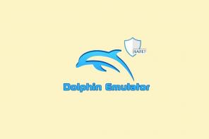 L'emulatore Dolphin è sicuro? – TechCult