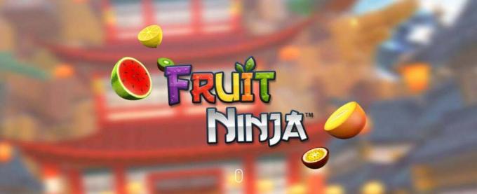Frukt Ninja