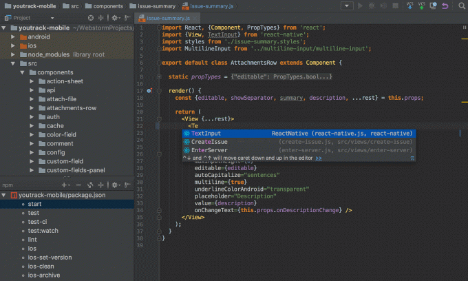 WebStorm IDE