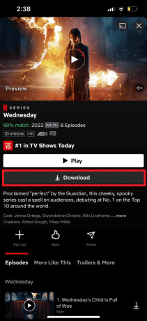 Toque na opção Download | Você precisa de Internet para Netflix na Smart TV?