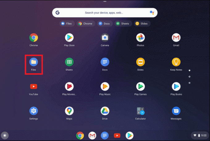 opțiunea de fișier afișată pe Chromebook | Cum să ștergeți imagini de pe Chromebook Numai citire