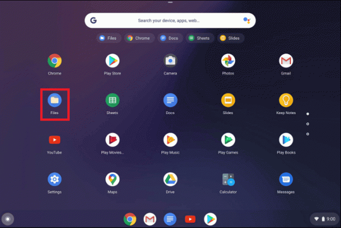 opcija datoteke prikazana na chromebooku | Kako izbrisati slike na Chromebooku Samo za čitanje