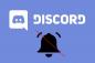 Comment désactiver les notifications Discord