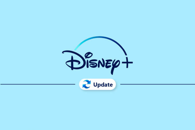 Disney Plus Hesabı Nasıl Güncellenir?