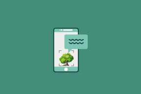 Die 17 besten Apps zum Identifizieren von Bäumen