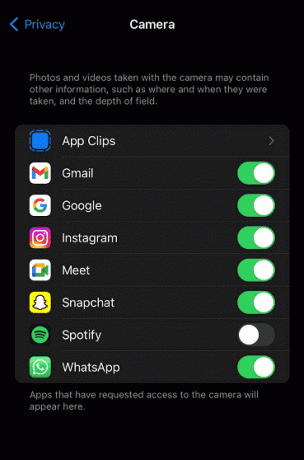 Schalten Sie den Schalter für alle Apps ein, denen Sie den Zugriff auf die Kamera erlauben möchten | So aktivieren Sie den Kamerazugriff auf Instagram